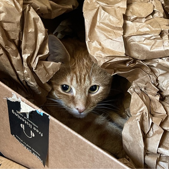 Meet your Posher, Jess - Picture 8 of 16